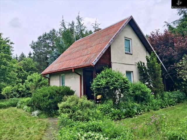 Urokliwy dom 70 m² z kominkiem i dużą działką