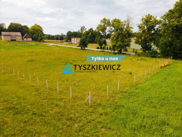 Żuromino, 3 005 m2
