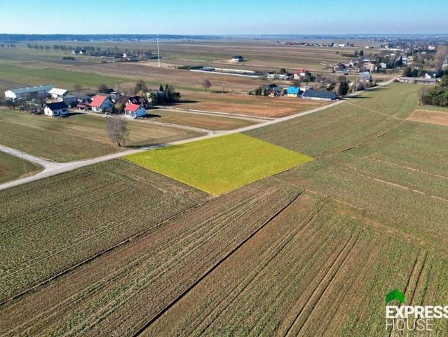 Żurawinowa 3 001 m², Wilczopole Kolonia