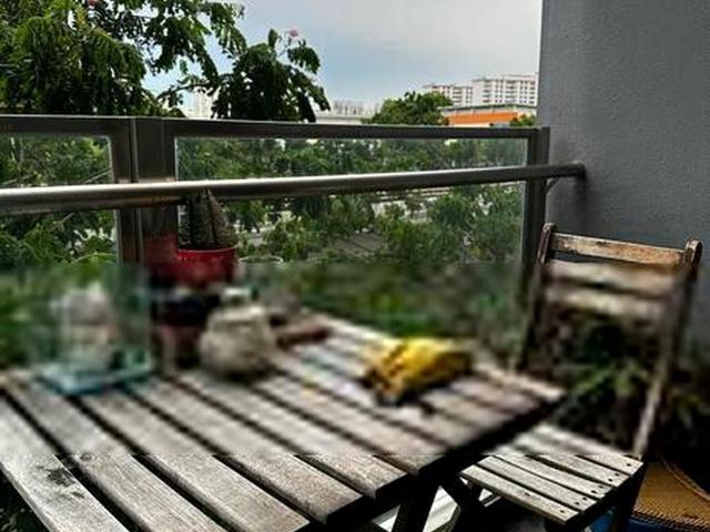 Urban Vista D16, Condominium