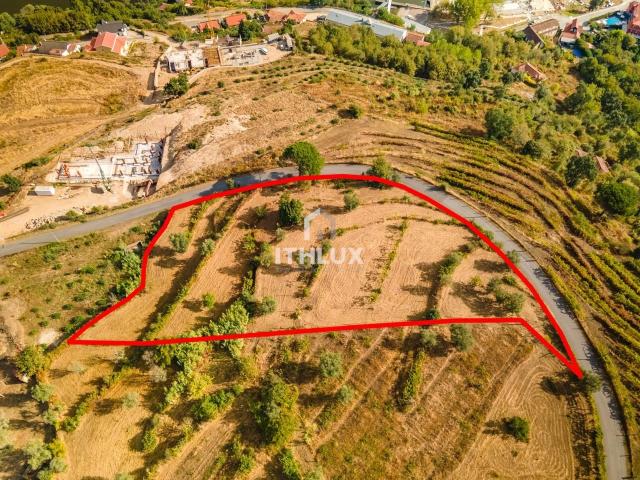 urbano com 4.972 m2, vista para o rio Douro, localizado em Caldas de Aregos, Resende, Miomaes