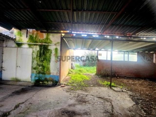 Urbano em Amoreira