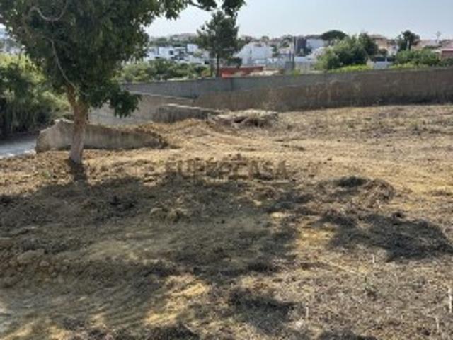 Urbano em Mafra