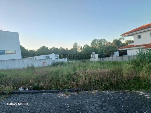 Urbano em Pedroso