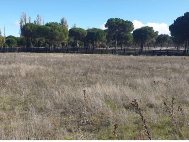 Urbis te ofrece parcelas urbanas en Aldeamayor de San Martín, Valladolid