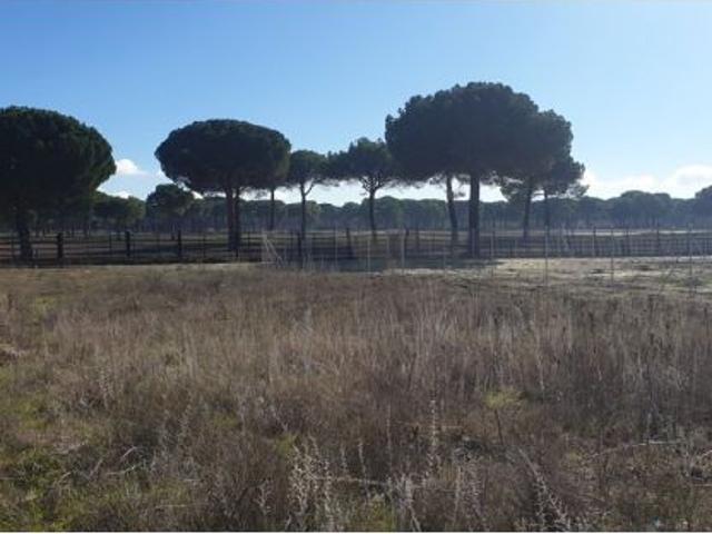 Urbis te ofrece parcelas urbanas en Aldeamayor de San Martín, Valladolid