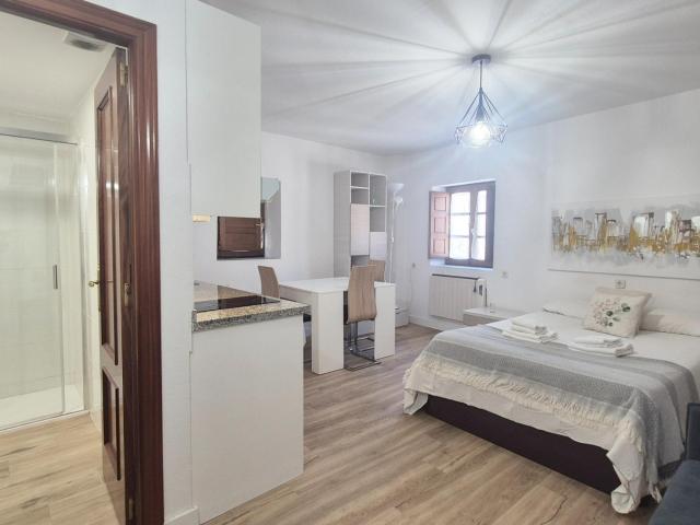 Urbis te ofrece un estudio en alquiler en zona Universidad, Salamanca