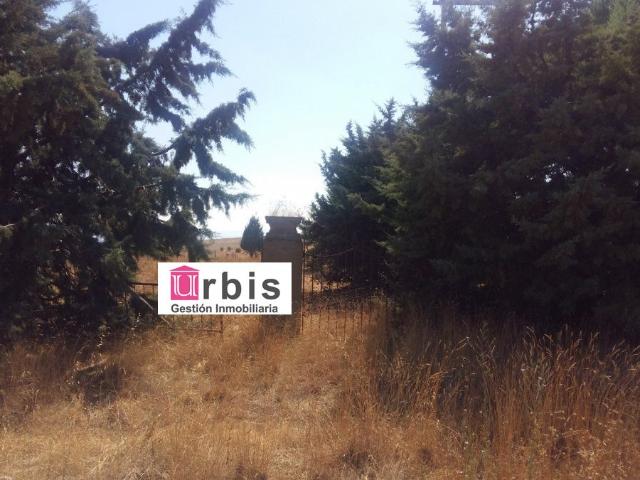 Urbis te ofrece una parcela en venta en Buenavista