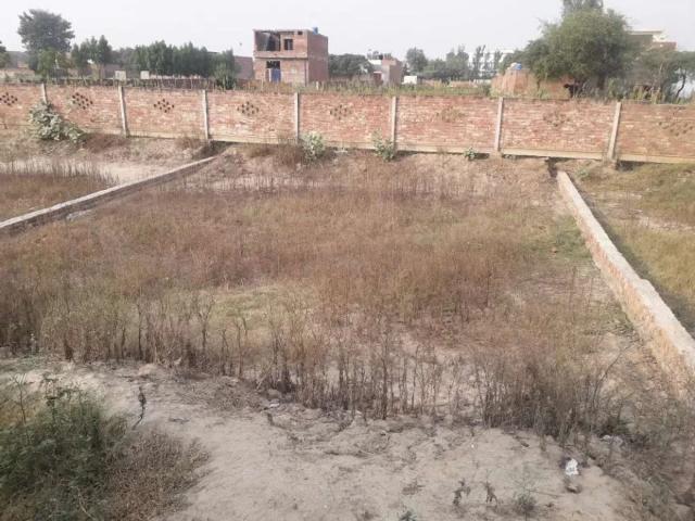 Urgent sale 8 marla plot Lahore Kahna ID 32477