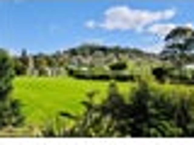 Urgent Sale! Overseas bound vendor