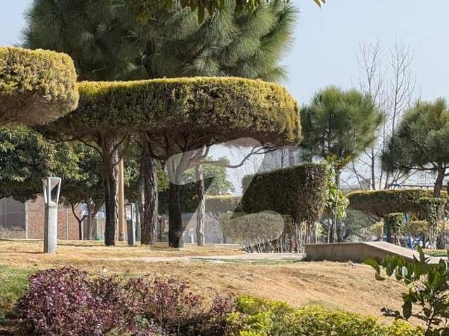 Urgent Sale Prime 1 Kanal main road Plot in Tulip Block, Taj Residencia
