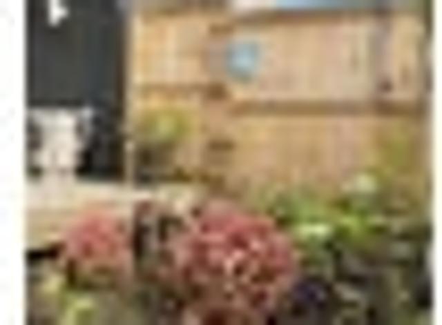 PRICE DROPPED! 1+1 Bedroom
