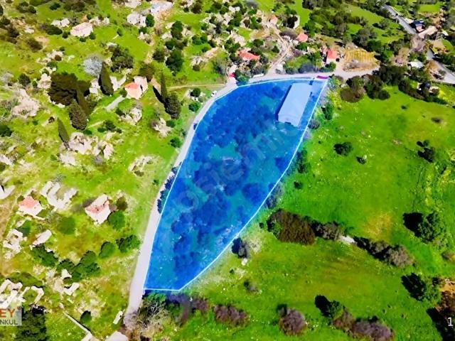 Urla Balıklıova da Satılık Tavuk Çiftliği