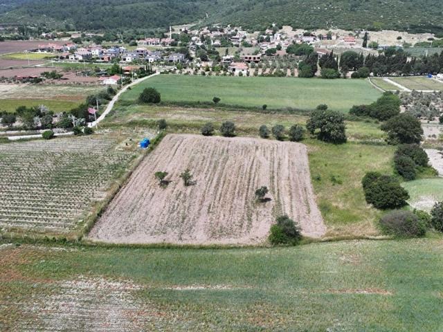 urla birgi satılık 4455 m2 tarla