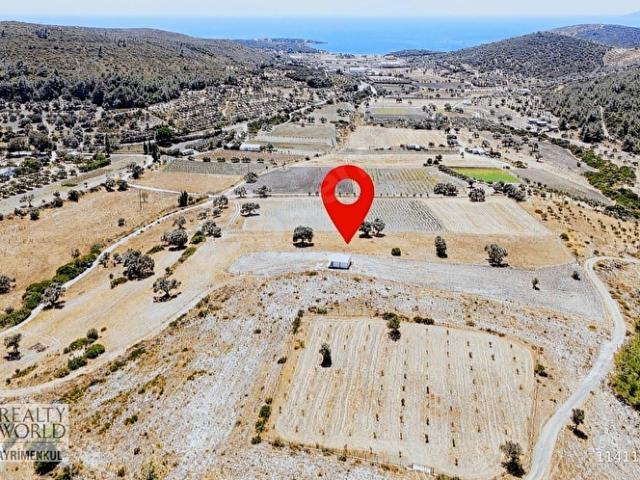 Urla Demircili Deniz ve Doğa İçinde Suyu Olan Yol Cepheli Tarla