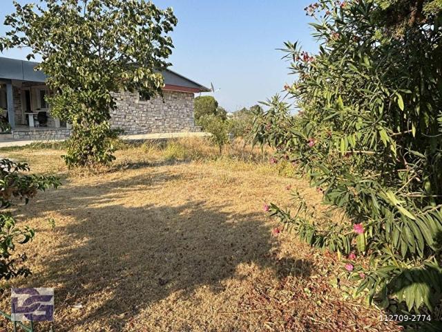 URLA İSKELEDE AĞAÇLI YOLA CEPHESİ BULUNAN 788 M2 SATILIK ARAZİ