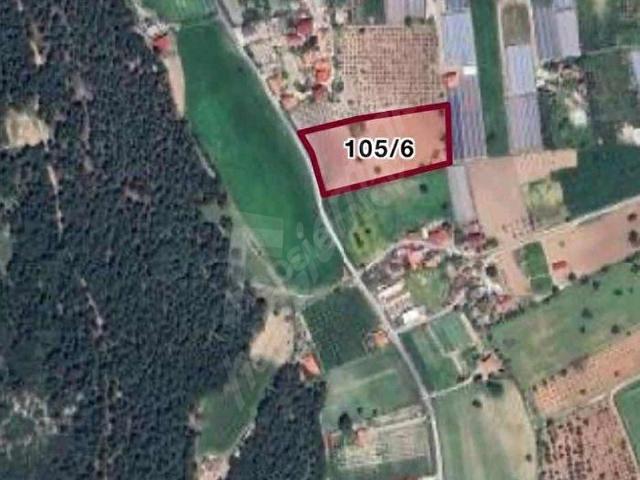 URLA KUŞÇULAR 'da 7728 M2 YATIRIMLIK FIRSAT TARLA