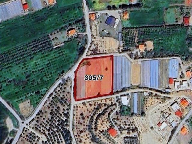 URLA KUŞÇULAR'da 5092m2 SATILIK TARLA