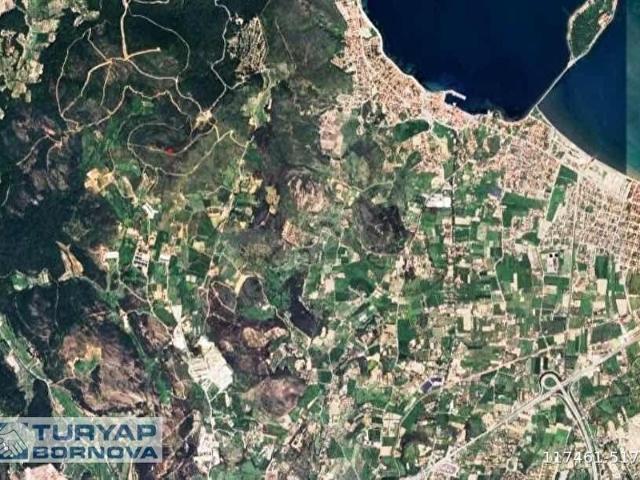 Urla Rüstemde Artezyenli, Zeytin Ağaçlı Satılık Tarla