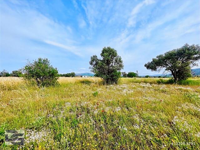 Urla Zeytinler'de Köy yakını Müstakil Tapu Satılık 1200 M2 Tarla