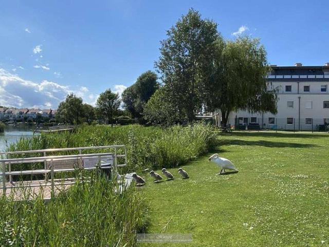 URLAUBSFEELING INKLUSIVE* SEEPARK VÖSENDORF – LUXURIÖSE, HOCHWERTIG AUSGESTATTETE 2 ZIMMER TERRASSENWOHNUNG