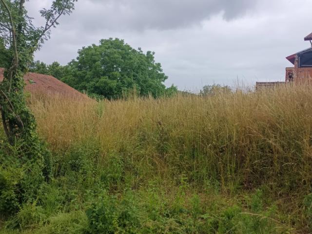 Urrugne proche Bourg Terrain 800m2