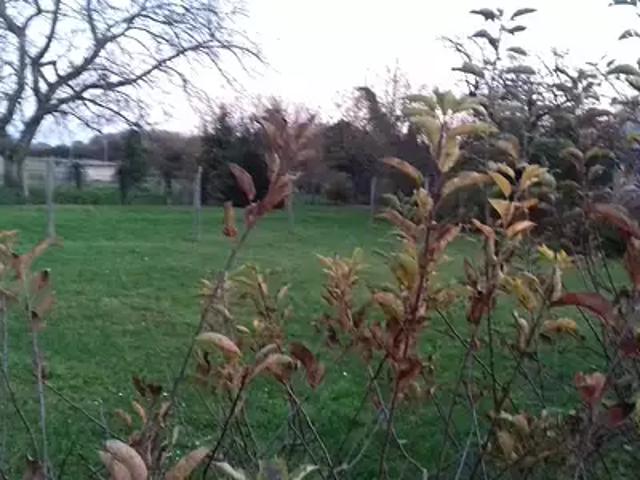 Ury 77760 Programme neuf terrain neuf à vendre