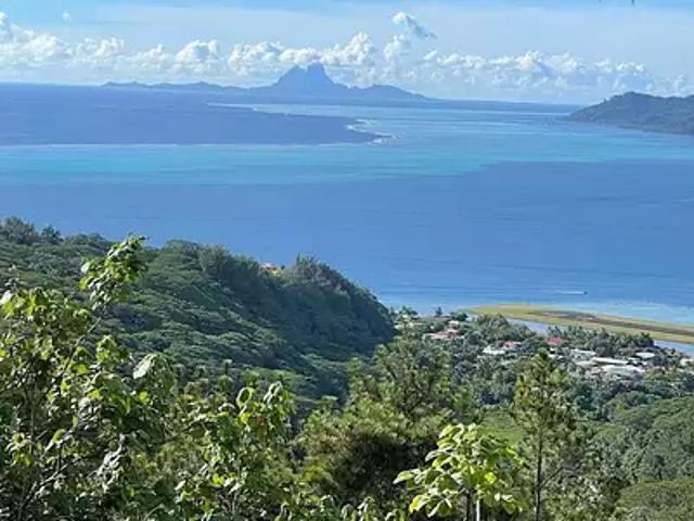 Uturoa 98735 Achat / Vente terrain