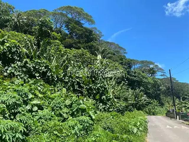 Uturoa 98735 Achat / Vente terrain