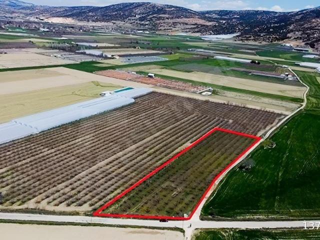 UYAROĞLU EMLAK'DAN EYMİR MAH.6000 M2 SATILIK BAHÇE