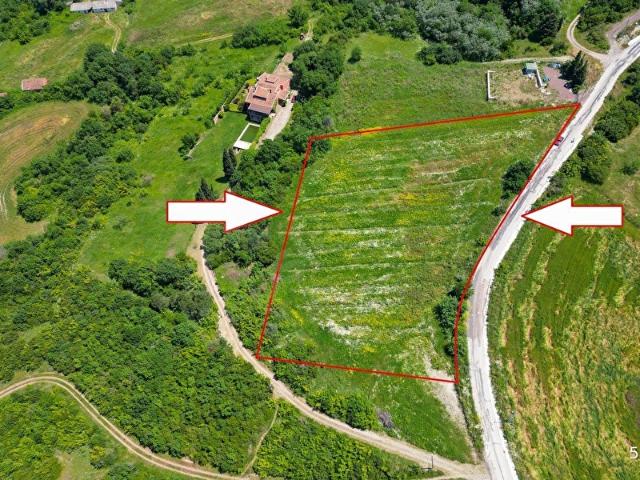 UZMANLAR'DAN ÇİFTLİKKÖY DENİZÇALI SATILIK 8.203 M2 BAHÇE