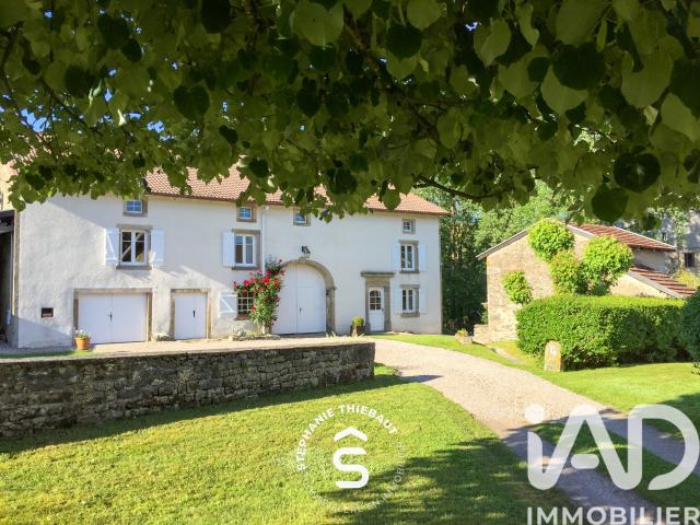 Uzemain Vente Maison 88