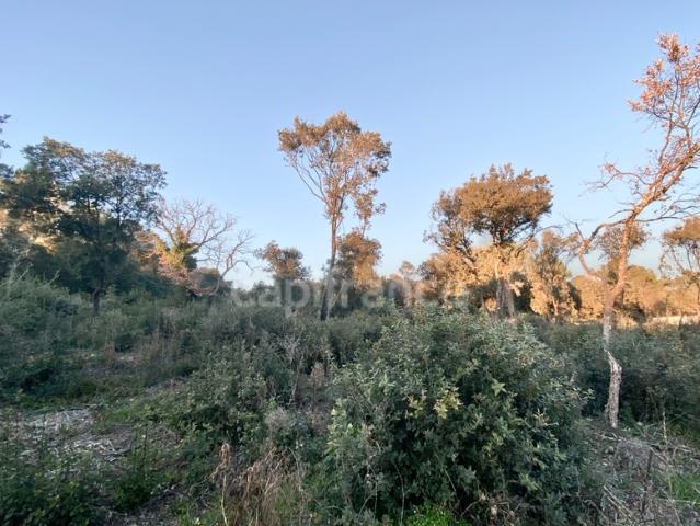 Uzès Vente Terrain 30