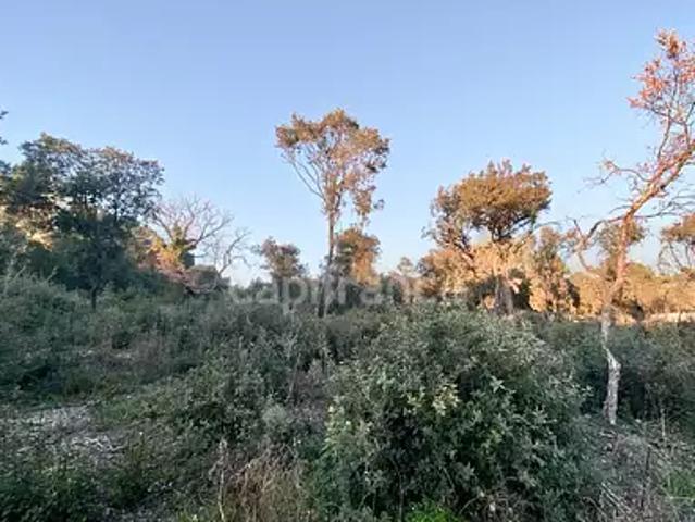 Uzès 30700 Achat / Vente terrain