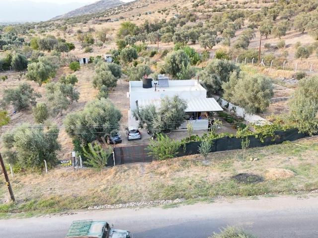 Uzunçam Köyünde 1.401m2 İmarlı, Asfalt Üstü Müstakil Ev