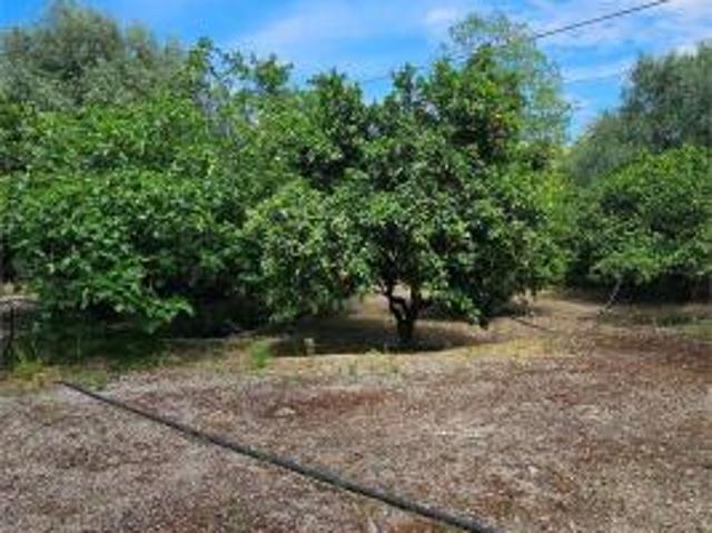 V004428 OPPORTUNITÀ UNICA SU STRADA STATALE SS189 – TERRENO 1000 MQ CON MAGAZZINO