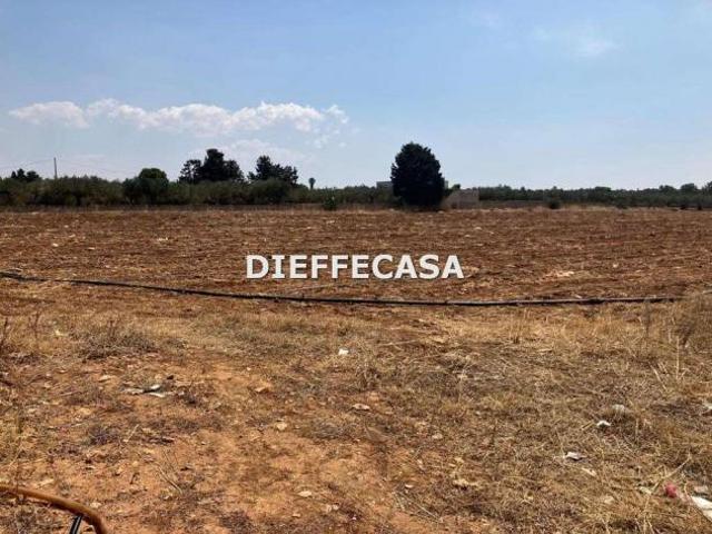 V2499 In vendita a Trapani terreno agricolo