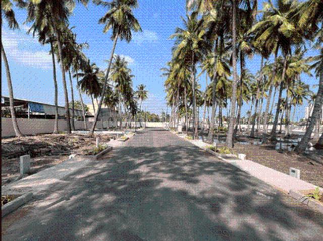 V Professional Subrow,Kelambakkam Residential Plot For Sale Chennai