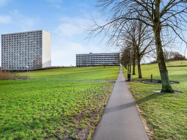 værelse / ungdomsbolig på 27 m2 i viby j, grøfthøjparken