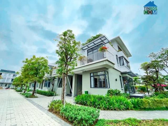 Vị Trí Vàng Trong Lòng Thành Phố
