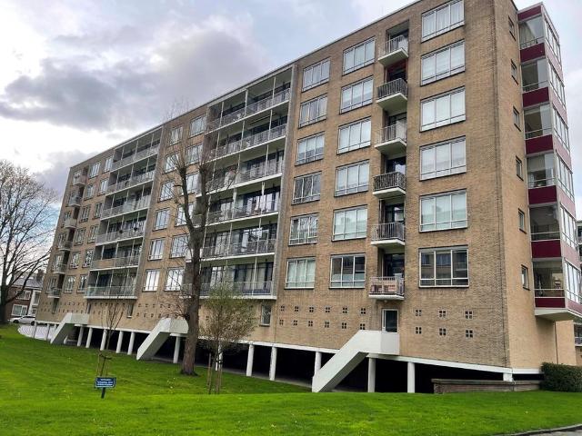 Van Alkemadelaan 1044, 2597BJ, Den Haag, Zuid Holland 2597BJ