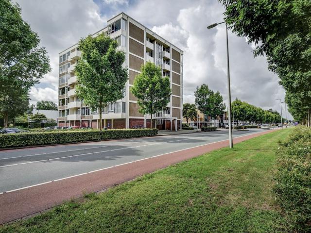 Van Boshuizenstraat 501, 1082AT, Amsterdam, Noord Holland 1082AT