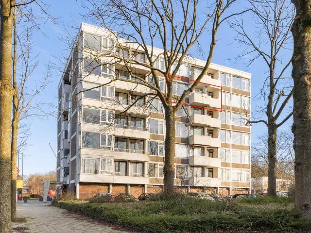 Van Boshuizenstraat 51, 1083AR, Amsterdam, Noord Holland 1083AR