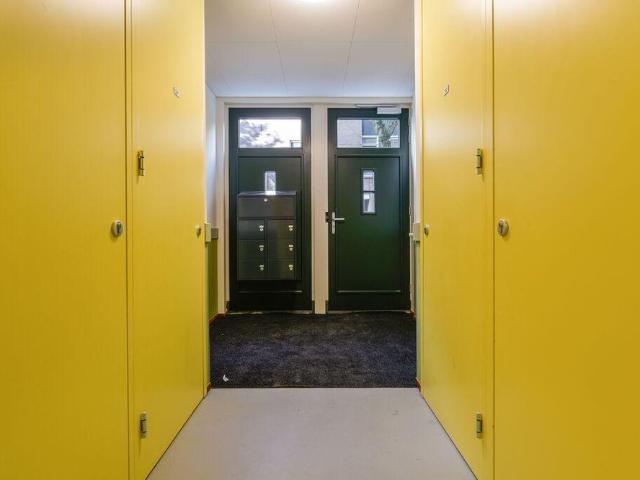 Van Brakelstraat 20B