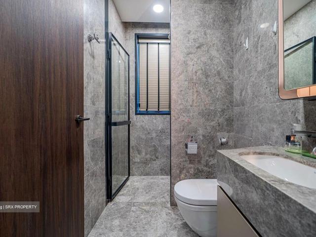 Van Holland D10, Condominium