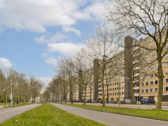 Van Nijenrodeweg 495