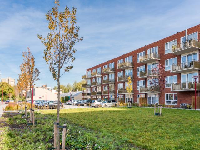 van Reeslaan 1 34, 3431 BV, Nieuwegein