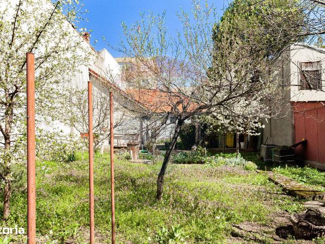 Vand Casă individuala zona ultracentrala Barbas bela/Afinelor