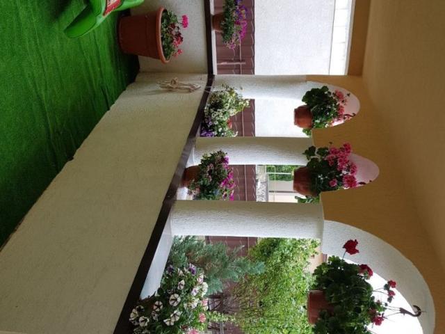Vand Casa in Suceava zona Zamca