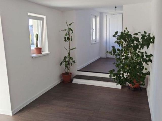Vand casa individuala, Zona Terezian